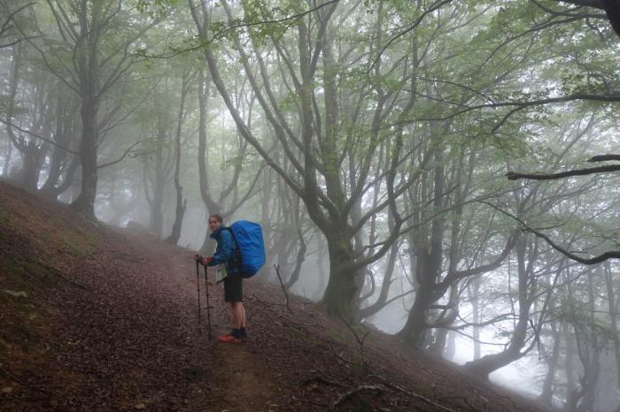 rebecca beeches day 5 shrunk