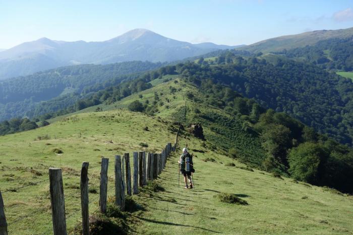 rebecca border fence day 5