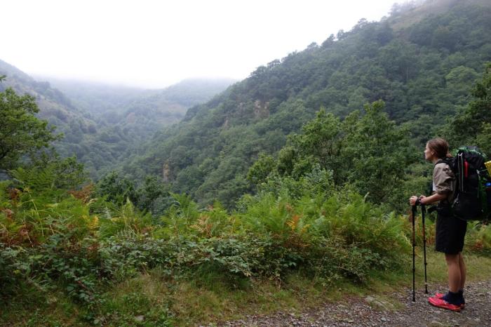 rebecca forest ravine day 2 shrunk