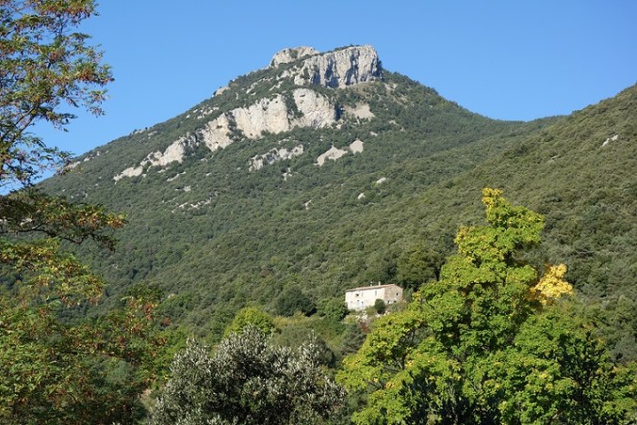 Bassengoda back view