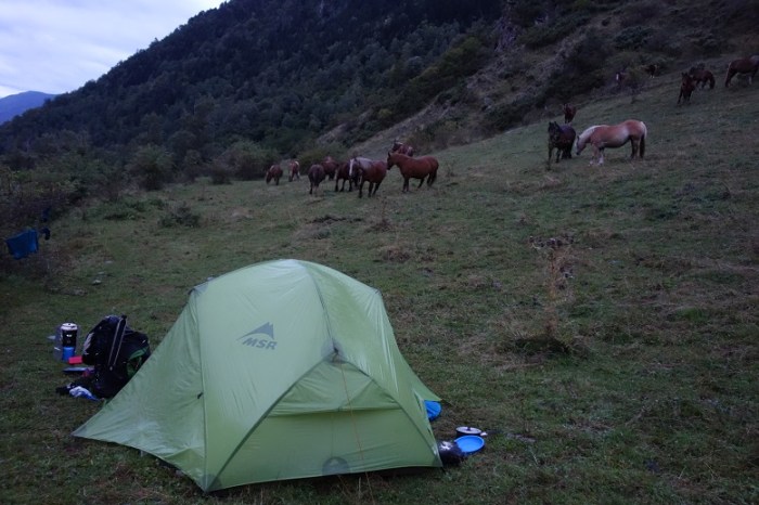 Tent and ponies at Nibros