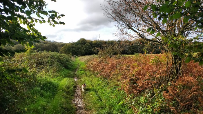 IMG_20171012_140624697